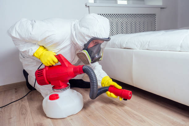 Best Pest Control Near Me in Glyndon, MN