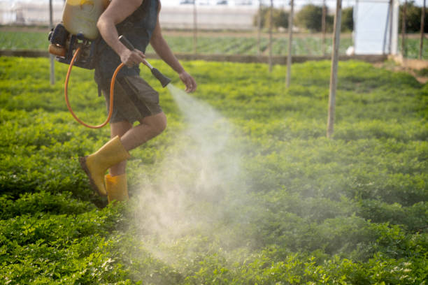 Best Affordable Pest Control Services  in Glyndon, MN