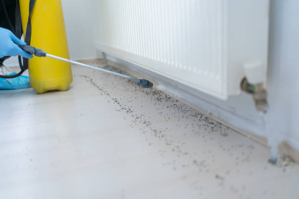 Best Residential Pest Control  in Glyndon, MN